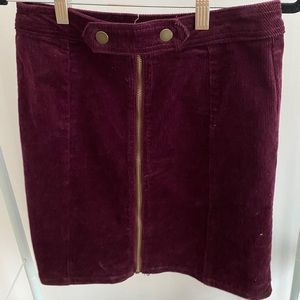 blue spice zipper skirt